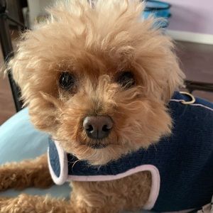 Meet your Posher, Amber